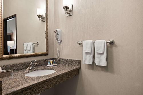 a bathroom with a sink and a mirror and towels at Comfort Suites Hudson I-94 in Hudson