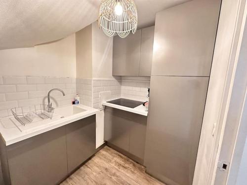 Una pequeña cocina con fregadero y refrigerador. en Drouet d'Erlon duplex spacieux, terrasse au centre, en Reims