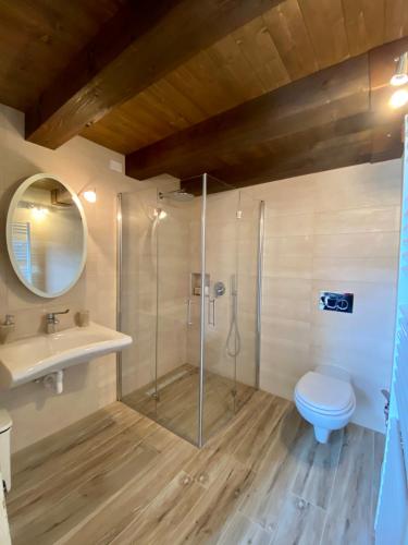 a bathroom with a shower and a toilet and a sink at Borgo Benedetto in Sansepolcro