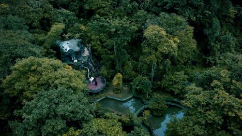 una vista aerea di una casa nel mezzo di una foresta di Parakkat Nature Resort a Munnar