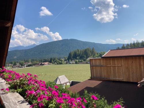 a view of a field with pink flowers and a building at Öfnerhof in Leutasch