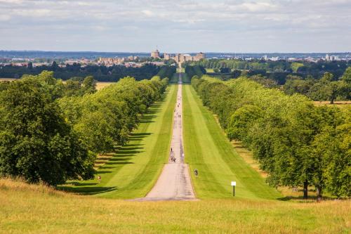 a long road with trees on both sides at Stylish Spacious Apartment in Central Windsor in Windsor