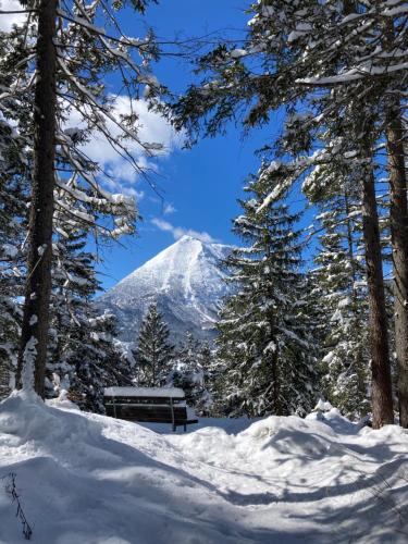 a bench in the snow with a snow covered mountain at Öfnerhof in Leutasch