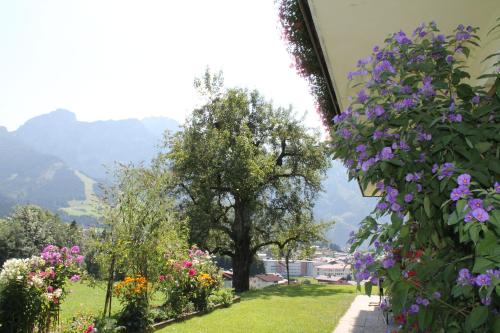 a garden with purple flowers and a tree at Vorderwimmhof in Abtenau