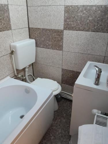 a bathroom with a white toilet and a sink at Olga house Deva in Deva
