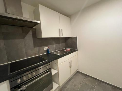 cocina con fregadero y fogones en Ferienwohnung Böke Lörrach en Lörrach