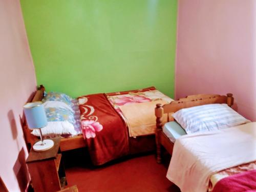 two twin beds in a room with green walls at GreenField Loitokitok Homestay in Oloitokitok 