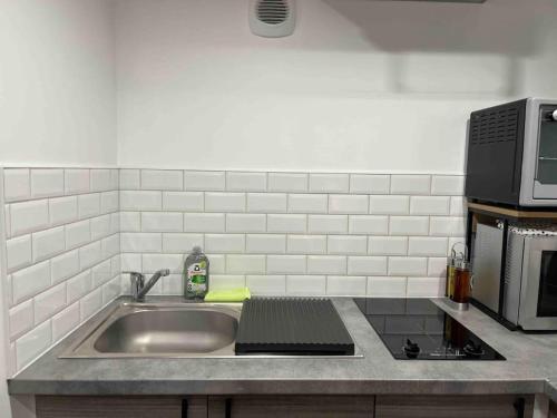 um balcão de cozinha com um lavatório e um micro-ondas em Duplex Place du Martroi em Orléans