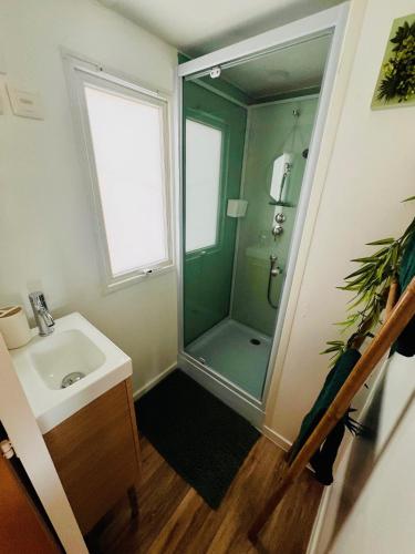 une salle de bain avec douche et lavabo dans l'établissement Cabane la Clef des Champs au Mas des Entrages, à Salon-de-Provence