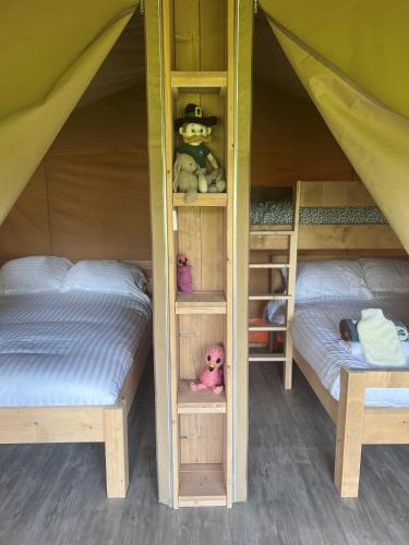 a couple of bunk beds in a tent at Safari Tent in Pentewan