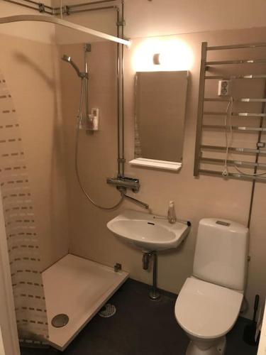 een badkamer met een toilet en een wastafel bij BlåKlinten in Mariehamn