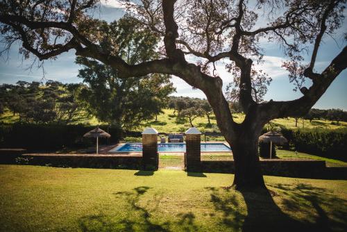 Alojamiento Rural Finca Barral photo 87