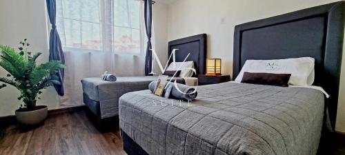 ein Schlafzimmer mit 2 Betten und einer Topfpflanze in der Unterkunft MC Suite - Centro in Antofagasta