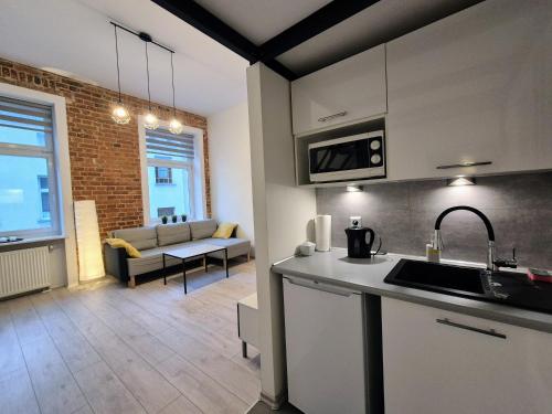 羅茲的住宿－Klimatyczny apartament w magicznym miejscu，一个带水槽的厨房和一张沙发