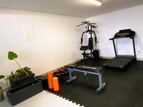 Fitness centrum a/nebo fitness zařízení v ubytování Luxury Villa T&T - Sutivan - Island of Brač