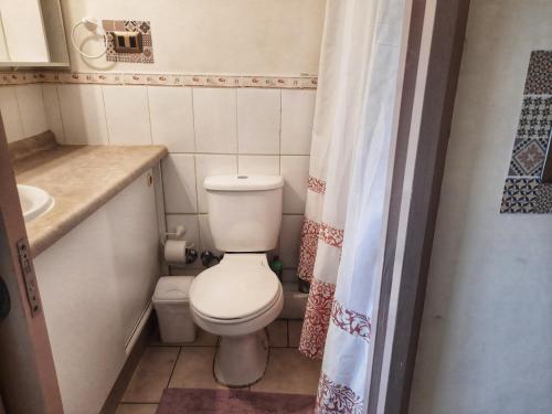 une petite salle de bain avec toilettes et lavabo dans l'établissement Departamento Centro de Temuco, à Temuco