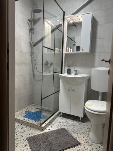 シナイアにあるCasa Roby-lzvor Sinaiaのシャワー、トイレ、洗面台を備えたバスルーム