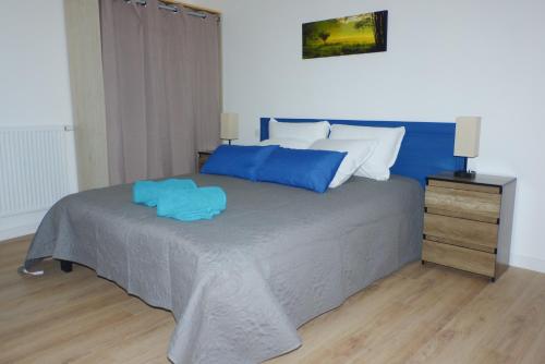 a bedroom with a bed with blue and white pillows at Serra-Vernet del Roser Rez-de-chaussée in Prats-de-Mollo-la-Preste