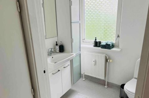 奧胡斯的住宿－Lovely 1 room Apartment Aarhus C，一间带水槽、镜子和卫生间的浴室