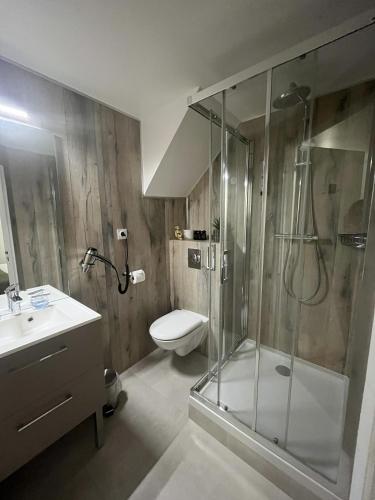 une salle de bain avec une douche, des toilettes et un lavabo dans l'établissement Logis Le Marronnier, à Buffon