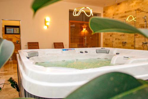 a jacuzzi tub in a living room with at Pensiunea Tobo in Baia de Fier