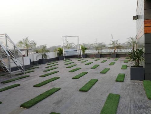 a patio with green grass on top of a building at Homlee-Vintage Green 2BHK with Terrace & fort View in New Delhi