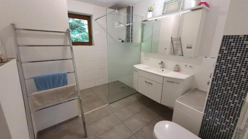ein Bad mit einem WC, einem Waschbecken und einer Dusche in der Unterkunft Ferienwohnung Ampergarten in Grafrath