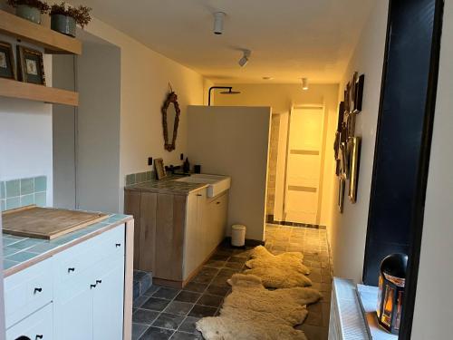 uma cozinha com um balcão e um lavatório e alguma pele em The cave em Sint-Denijs-Westrem
