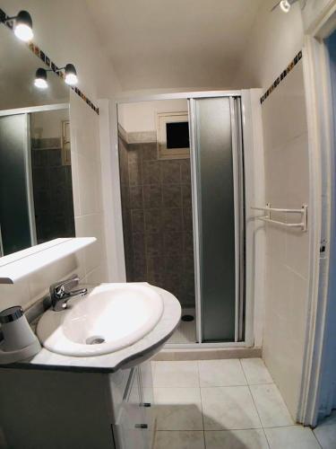 une salle de bain avec un lavabo et une douche dans l'établissement Villa Davia Marine de Davia, à Corbara