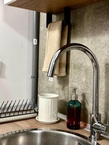 - un évier de cuisine avec une bouteille de savon dans l'établissement Appartement Avignon Intramuros avec jardin et barbecue, à Avignon