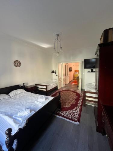 een slaapkamer met een groot bed en een televisie bij Mi Casa Ferhadija in Sarajevo
