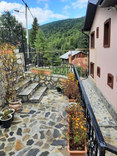 einen Steinweg neben einem Gebäude mit Blumen in der Unterkunft Casa Nicolas Busteni in Buşteni