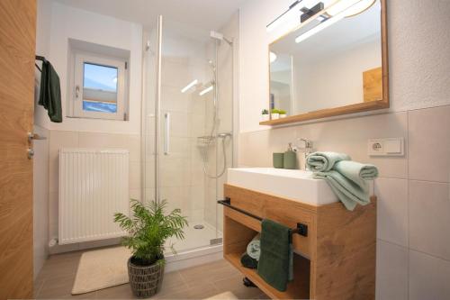 y baño con lavabo, ducha y espejo. en Natura Aparts, en Stanzach