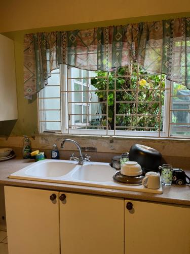 encimera de cocina con fregadero y ventana en Widcombe 8, en Kingston