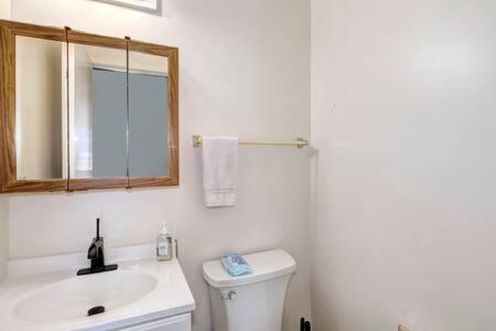 a bathroom with a sink and a mirror and a toilet at New Listing Country Property Pet Friendly W&D in Loomis