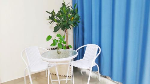 a table and two chairs and a potted plant at 闲肆民宿 in Sanya