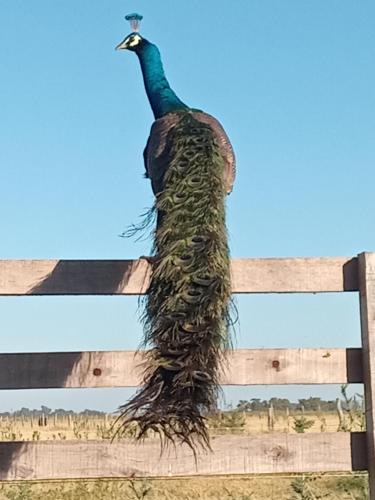 La Pancha – Alojamiento en Chascomús La Pancha – Alojamiento en Chascomús