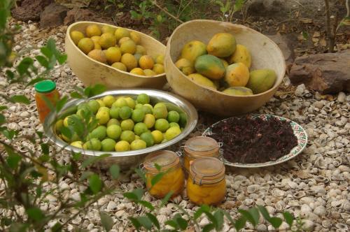 a group of bowls of fruit on a rocky ground at Bed and breakfast Keur Niaye in Toubakouta