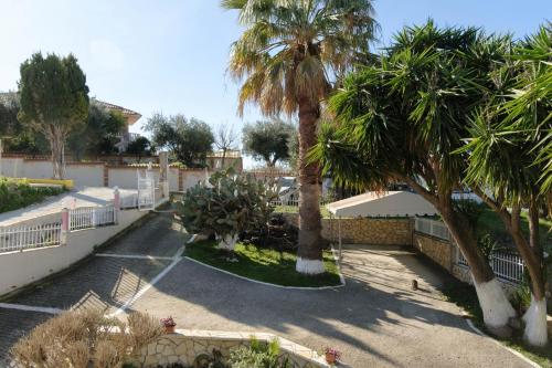 a courtyard with palm trees and a white fence at House Belelis in Afionas