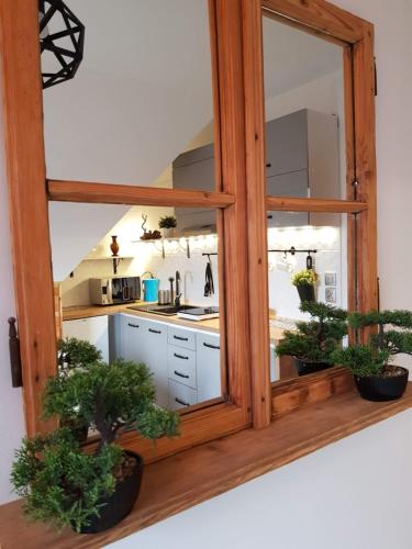 Η κουζίνα ή μικρή κουζίνα στο Apartamenty Magiczny Kącik