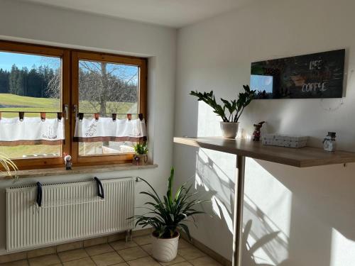 a room with a window and a table with plants at Haus Allgäu Ruh in Görisried