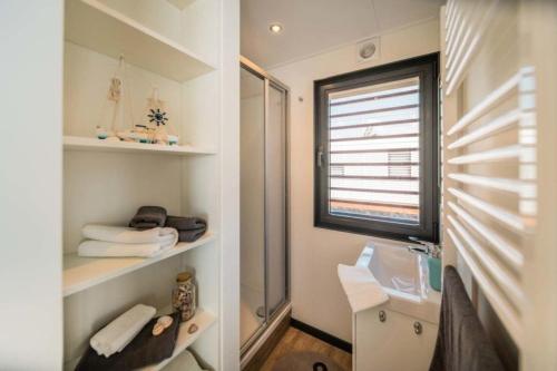 a bathroom with a shower and a sink and a mirror at Hausboot Skyline in Klitten