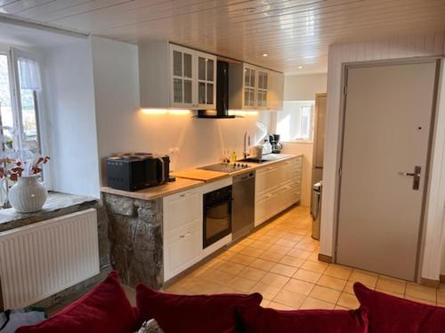 une cuisine avec un évier et un plan de travail dans l'établissement L ours, à Aragnouet