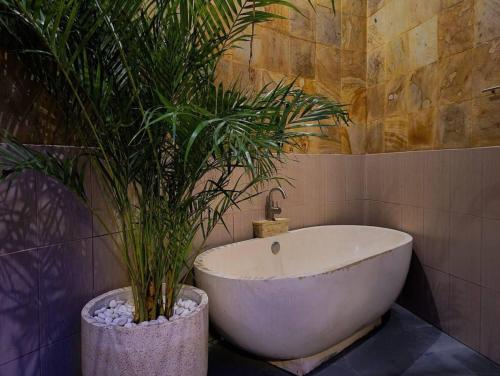 a bath tub in a bathroom with two potted plants at Villa Aurora Lovina in Lovina