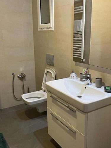 a bathroom with a white sink and a toilet at Cosy Home in Carthage