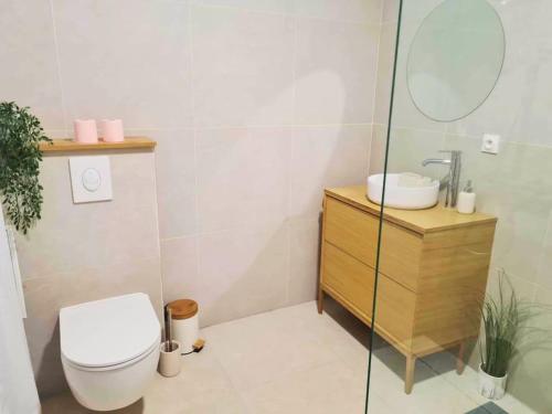 une salle de bain avec toilettes, lavabo et miroir dans l'établissement Charmante maisonnette - St naz- Comme à la maison, à Saint-Nazaire