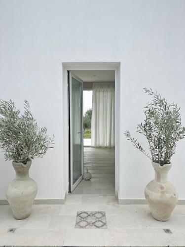 two vases with plants in them in a room at NOTO country farm house in Noto