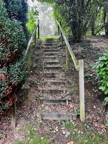 a set of wooden stairs in a field at 'Little Grebe' - Secluded Rustic Lodge - Fishermans delight. in York