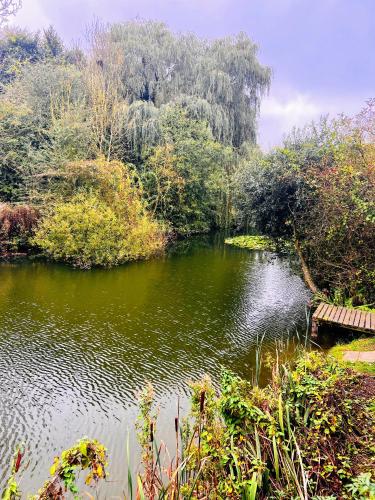 a pond with a bench in the middle of it at 'Little Grebe' - Secluded Rustic Lodge - Fishermans delight. in York