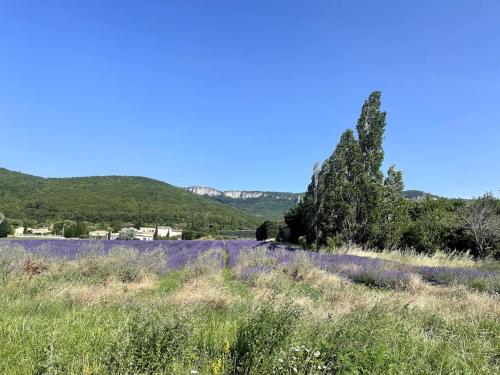 Φυσικό τοπίο κοντά σε αυτό το διαμέρισμα